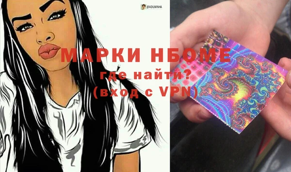 стаф Новозыбков