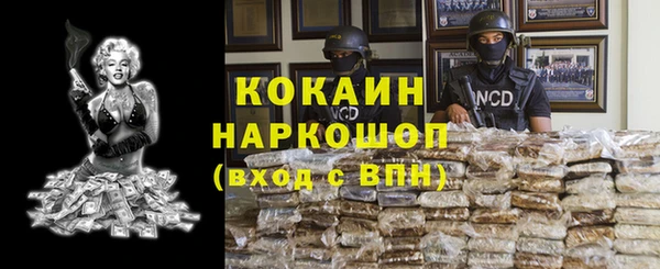 стаф Новозыбков