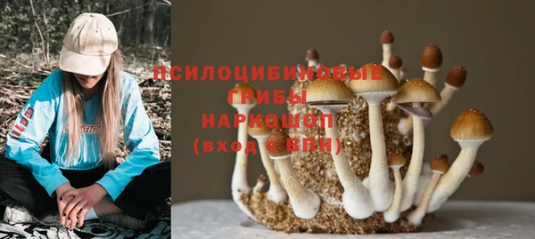 гашик Абаза