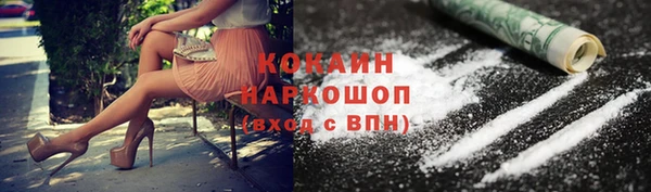 шишки Новокубанск