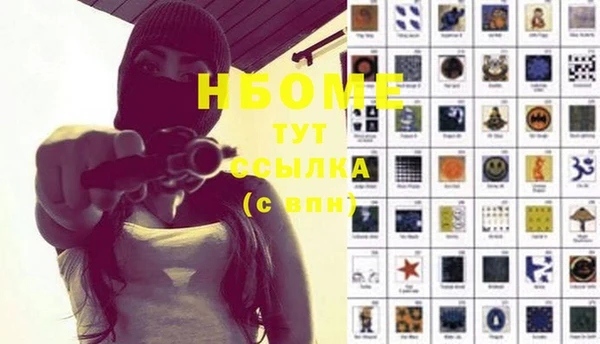 шишки Новокубанск
