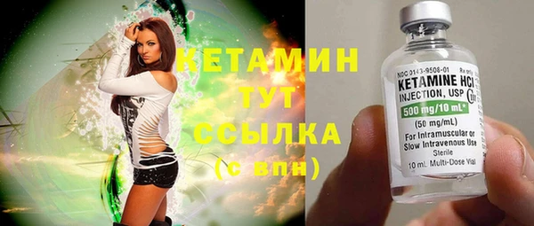 шишки Новокубанск