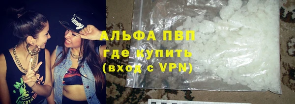 стаф Новозыбков