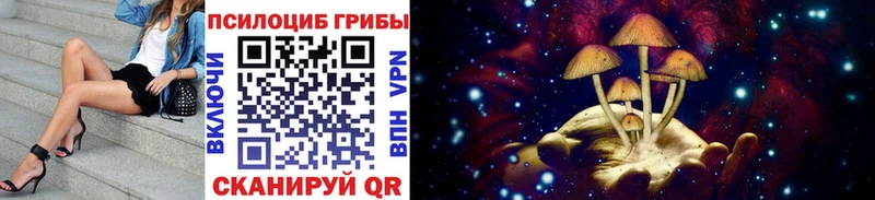 Псилоцибиновые грибы Psilocybe  Яхрома 